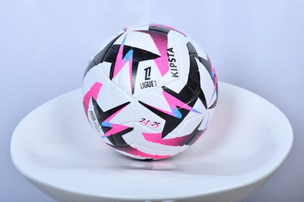 LIGUE 1  2024/2025